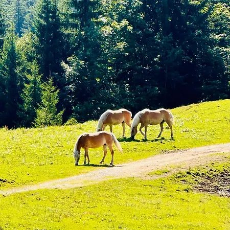 Holiday home Waldklause