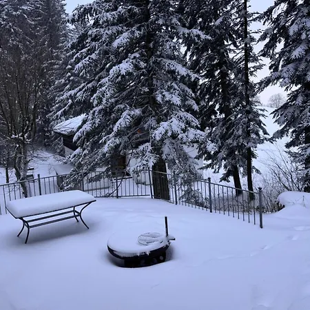 Holiday home Waldklause Schwarzenberg im Bregenzerwald